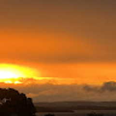 Piper Iavazzo Peirce