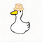 Jr Duck