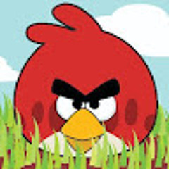 Red Enojado Velasco