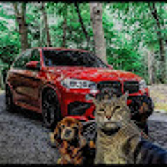 Sergij_ Cars