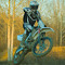 YZ250F