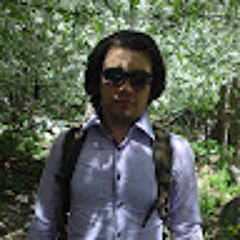 Amir Rashidzadeh