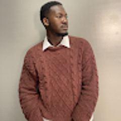 Mohamed Kurtis Assani