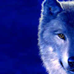 lone wolf