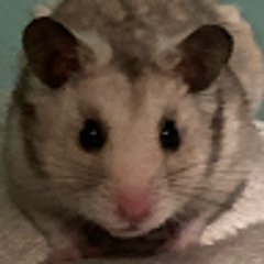 Anthony Caleb Rivera