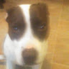 zae