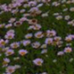 User 104244062