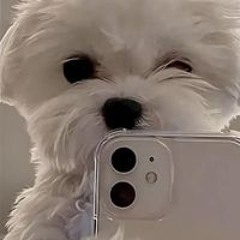 전요한