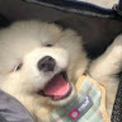 ม.4-3สิราลักษณ์ ทามะรัตน์