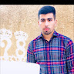 Labeed M Hasan