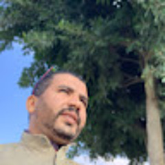 القاري محمد حسن