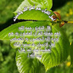 عباس المغيني