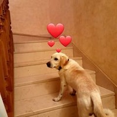 Крот Віталік
