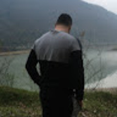 Reza Kamali