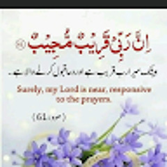 User 984601609