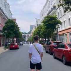 Vũ Đức Nam