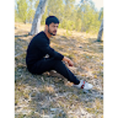 Ali Hassan