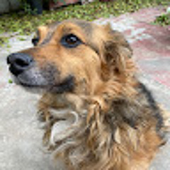Neero