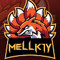 Mellk1y
