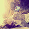 Armandonapoletano.an