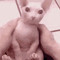 User 826999178