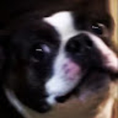 Valentino Van der elst