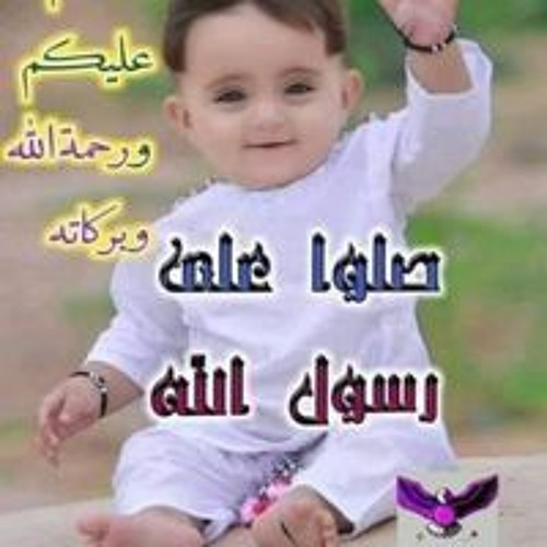 محمد السيد محمد طلبه’s avatar