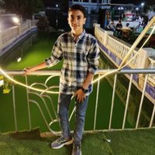 Mostafa Elsharawy’s avatar