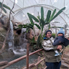 nilson baldevenito
