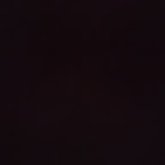 Verttone(베르톤)