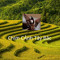 Huy Nguyễn
