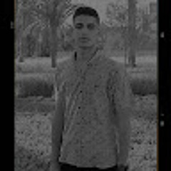 بشار مصطفي الخبير