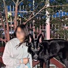 М.Э Энхжаргал