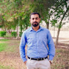 Adil Qureshi 8 (madilq)