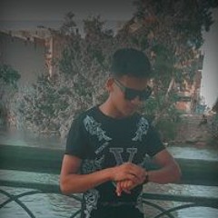 Yousry Gommaa Elshahawy