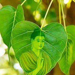 Thanh Lạc