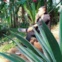 Pyae Phyo Aung