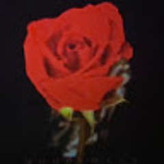 User 418719317