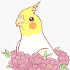 User 215038232