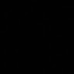 Даша Слободянюк