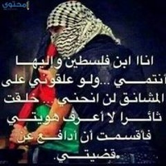 Yahya Amer