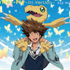 Bruno (LightBruce)