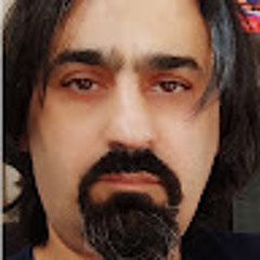 علیرضا انصای