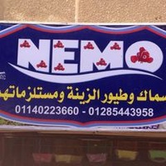 Nemo Nemo