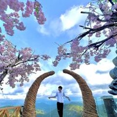 Huỳnh An Lạc