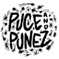 Cie Puceandpunez