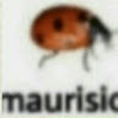 Mauricio Mauricio