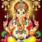 Shankar V