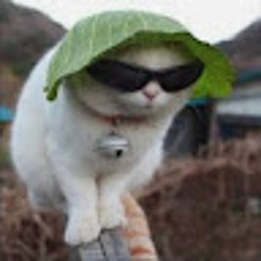 Sergey.wii