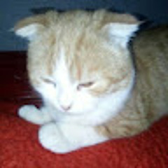 Алла Митченкова